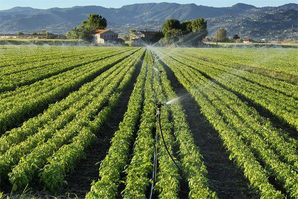微灌溉系统智能土壤水分联动|传感器|需水量|自动化_网易订阅