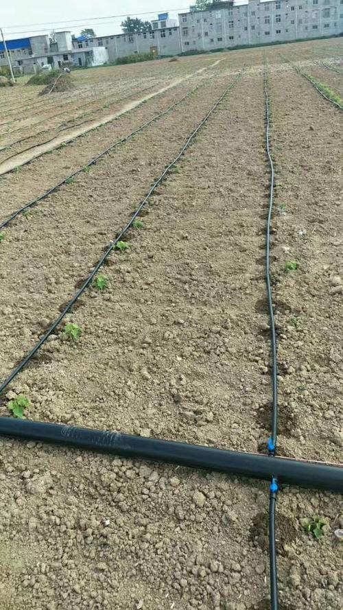 水肥一体化自动化灌溉功能,水肥一体化系统本身配置有土壤湿度传感器